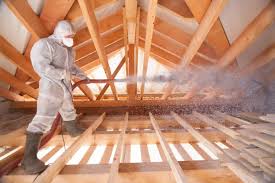 Best Radiant Barrier Insulation  in Lake Placid, FL